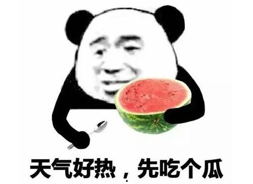 吃瓜表情包回复怎么说好听